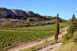 Languedoc Wine Region